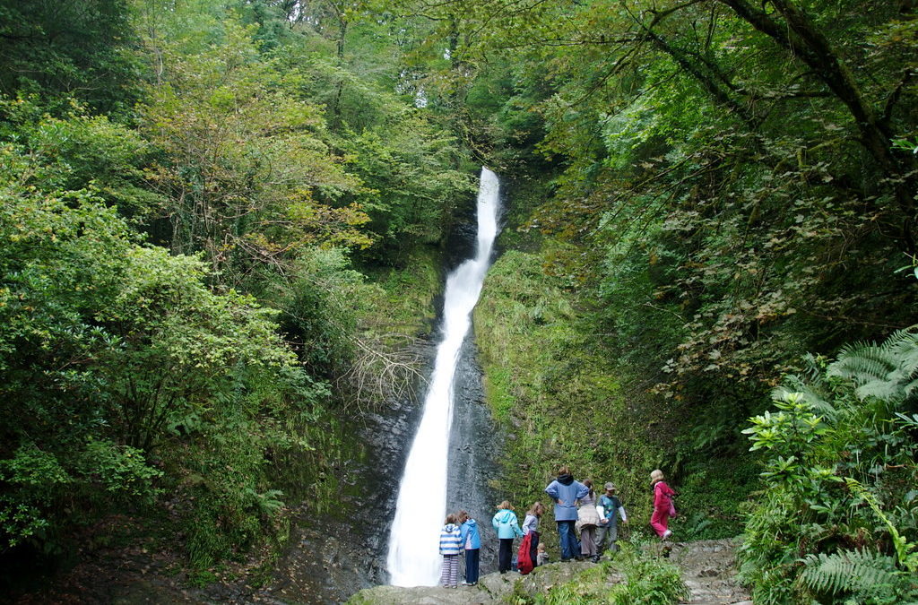 Best places and attractions to visit in and around Tavistock