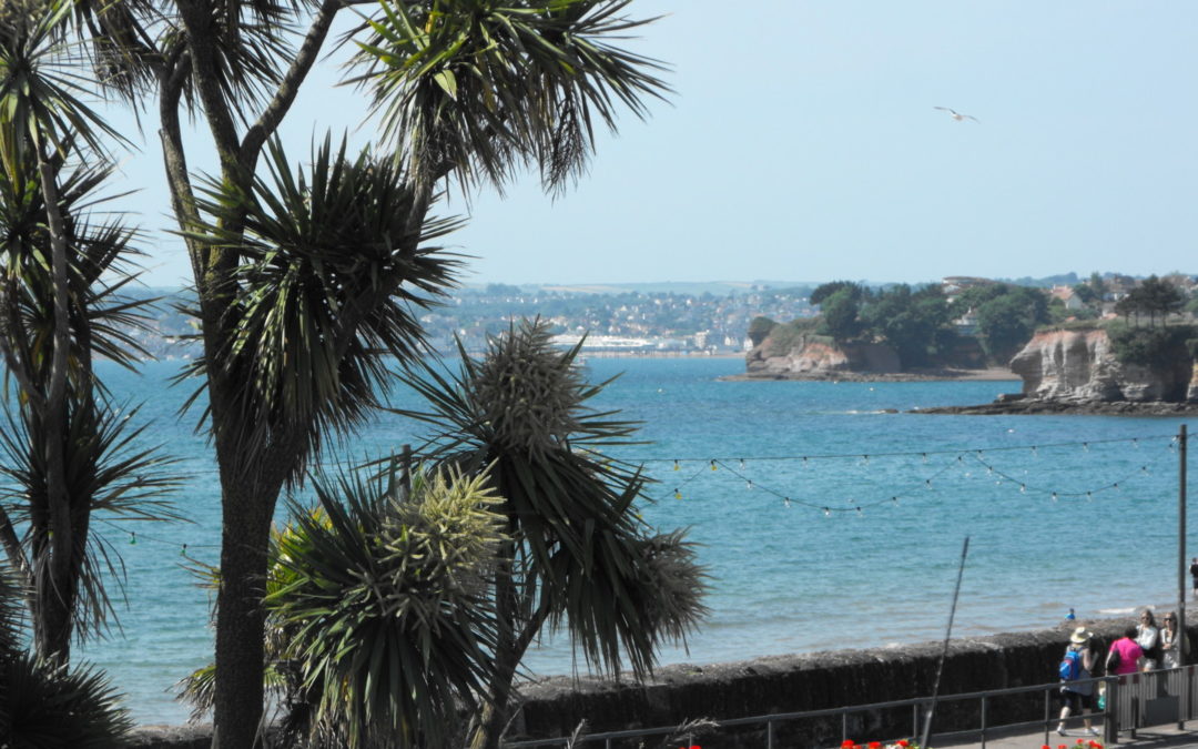 Best places and attractions to visit in and around Stoke Gabriel