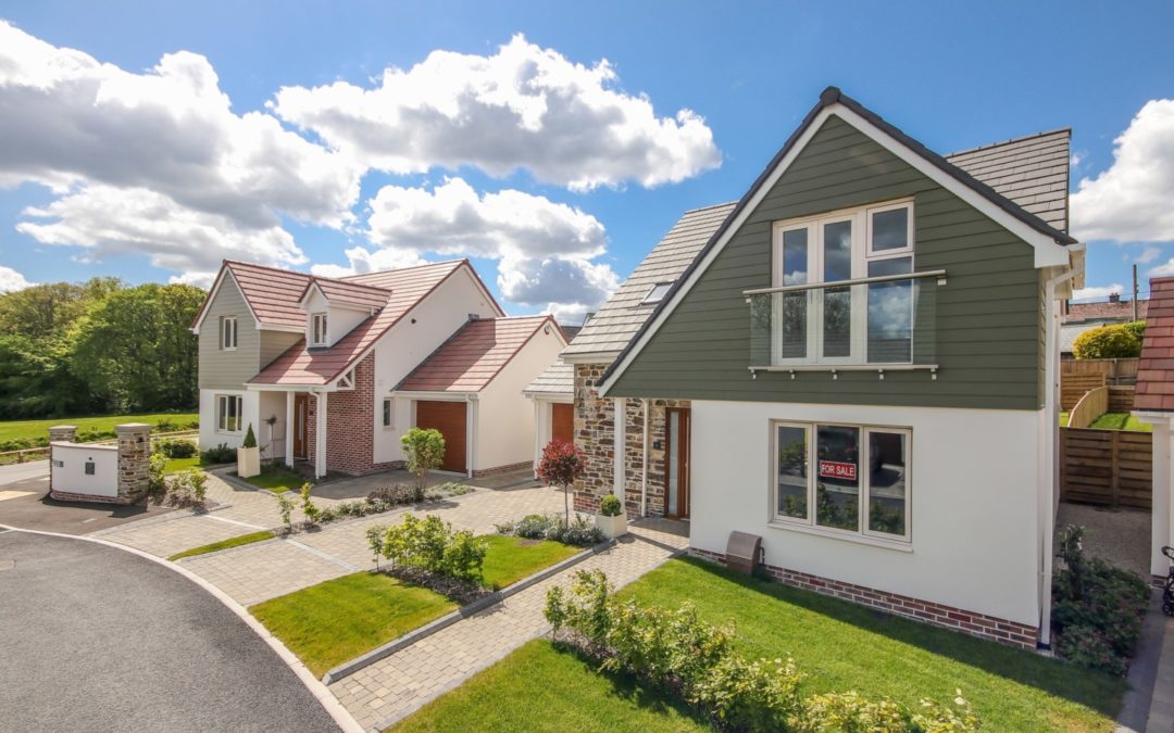Moving Made Easy with Blue Cedar Homes